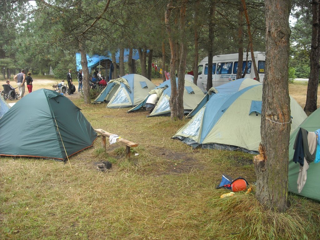 У лісі на Шатських озерах